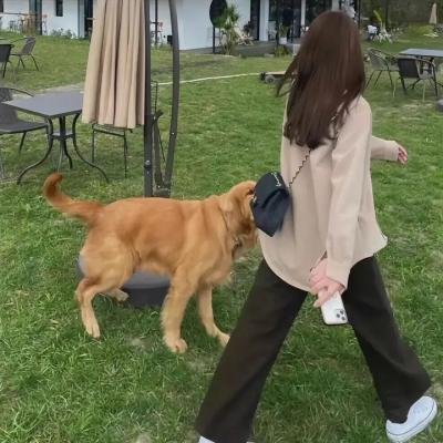 罗小黑战记2
