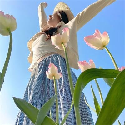 美国骗局